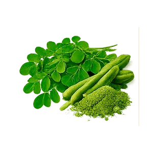 Cistenium — moringa (Moringa oleifera)
